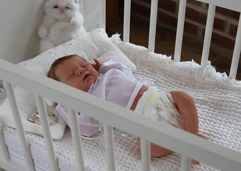 Raleigh - 19.7" Full Body Silicone Reborn Baby Girl