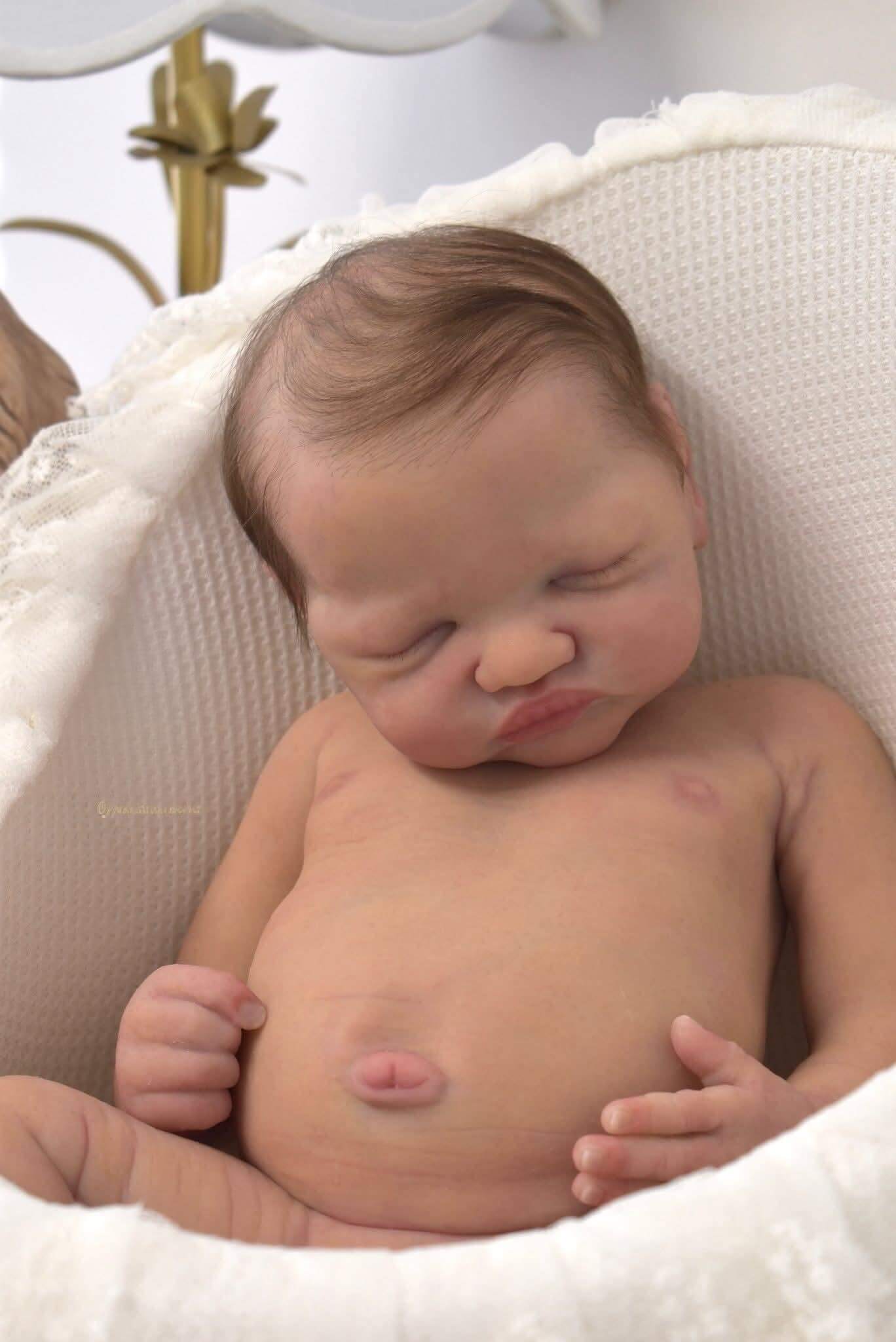 Olive 19 Inch Full Body Silicone Reborn Baby Girl
