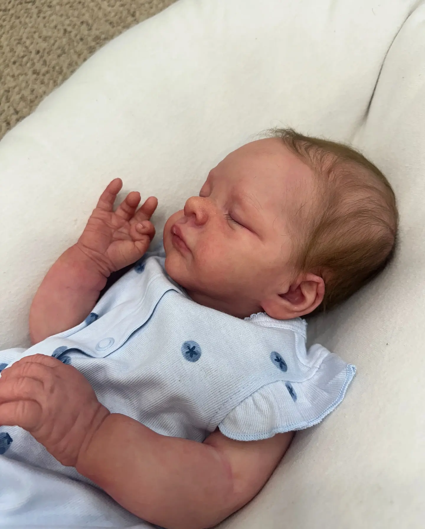Baby Maple Posie 18 Inch Full Body Silicone Reborn