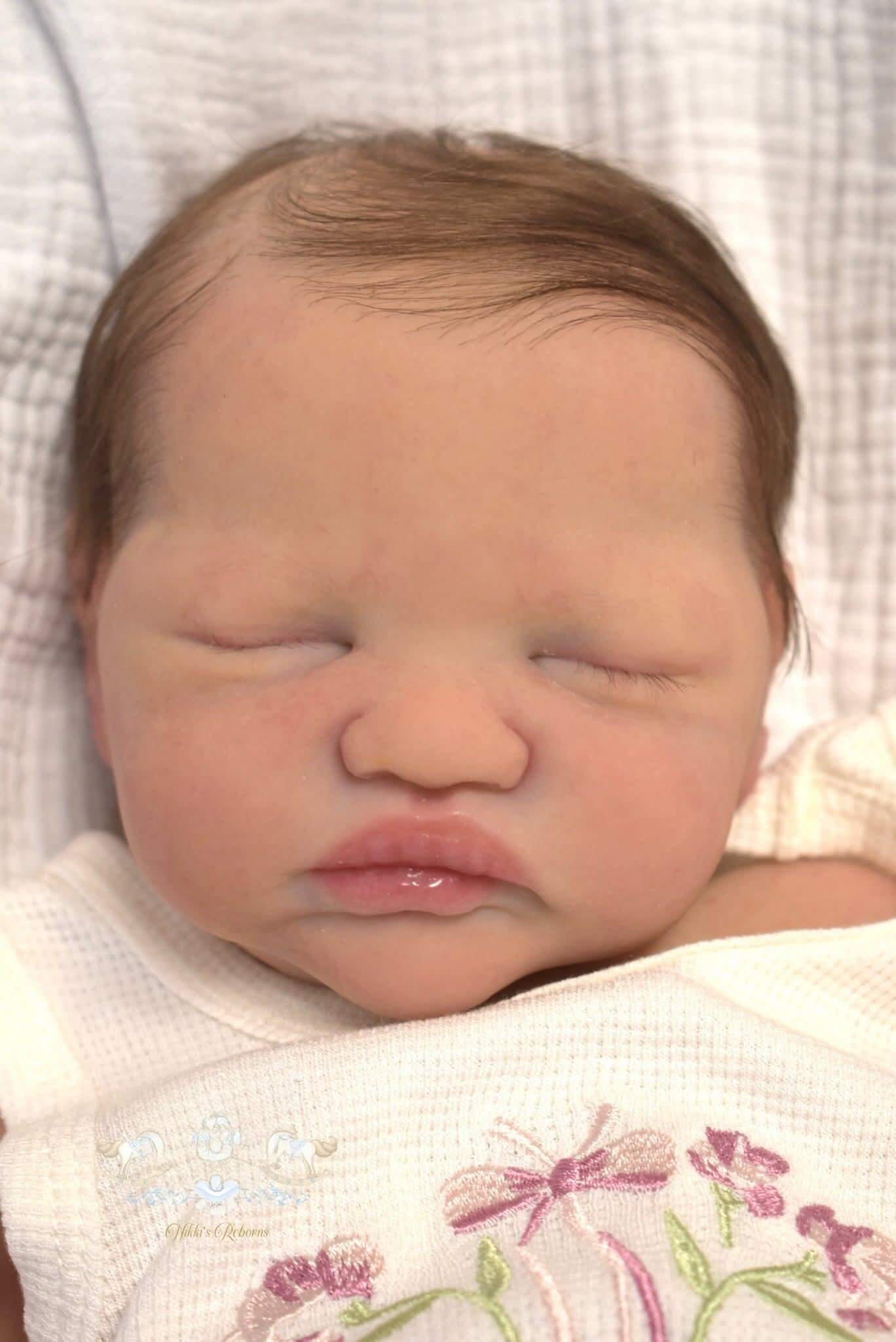Olive 19 Inch Full Body Silicone Reborn Baby Girl